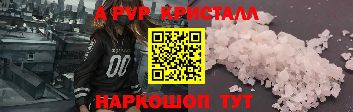 A PVP крисы CK Сокол