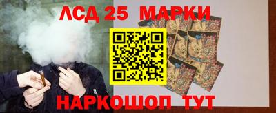 индика Можайск