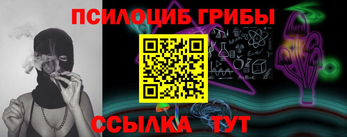 Псилоцибиновые грибы GOLDEN TEACHER Сокол